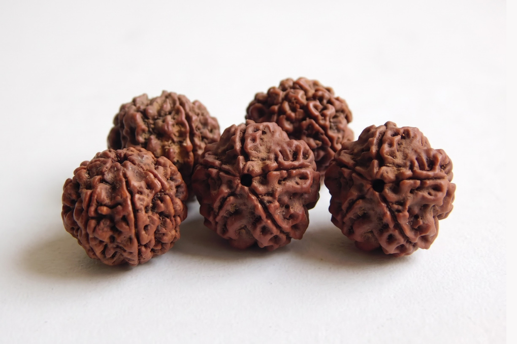 Rudraksha in Virar